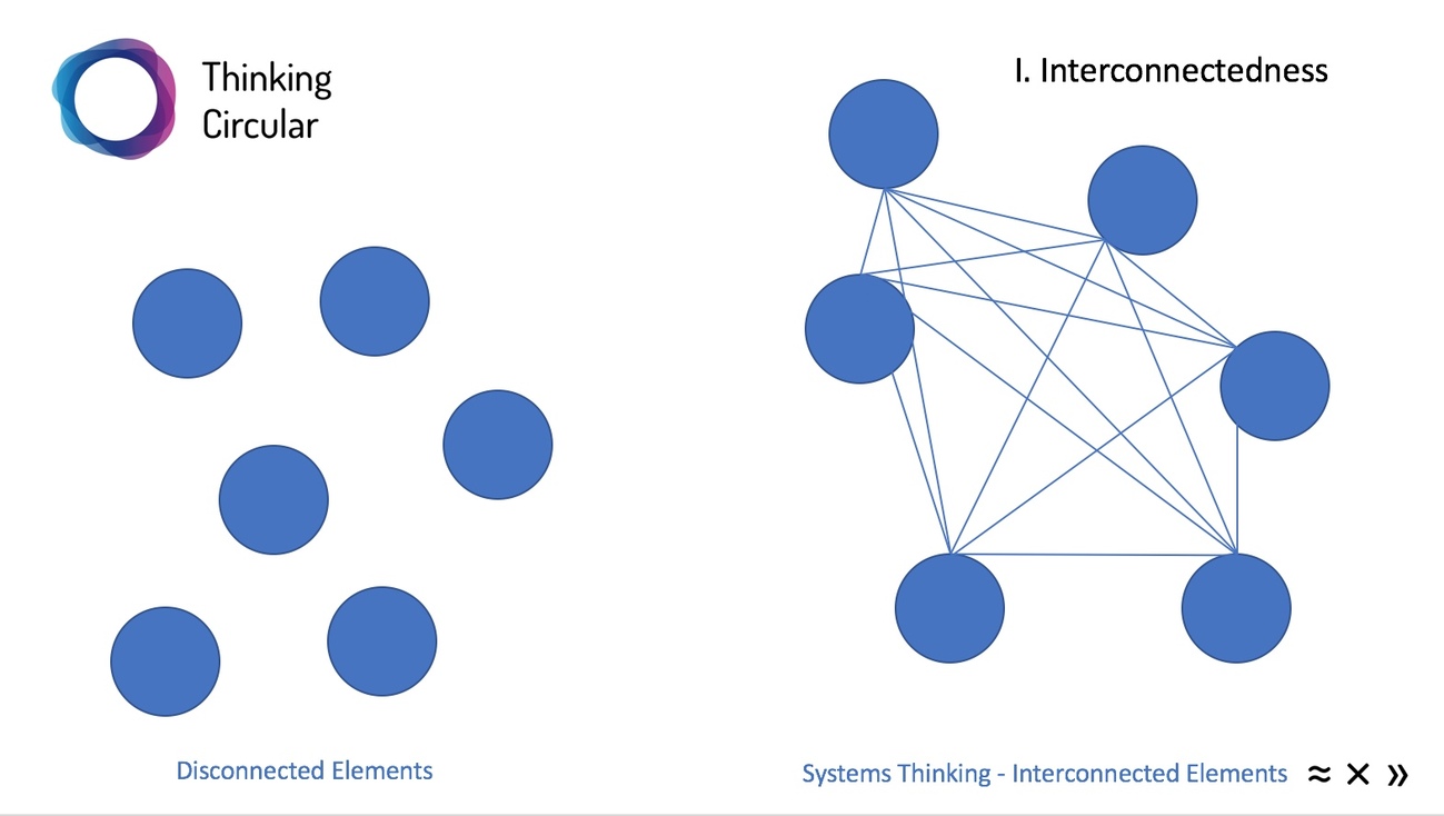 Whole system. System thinking. Thinking in Systems. Circular thinking. Interconnectedness between Companies.